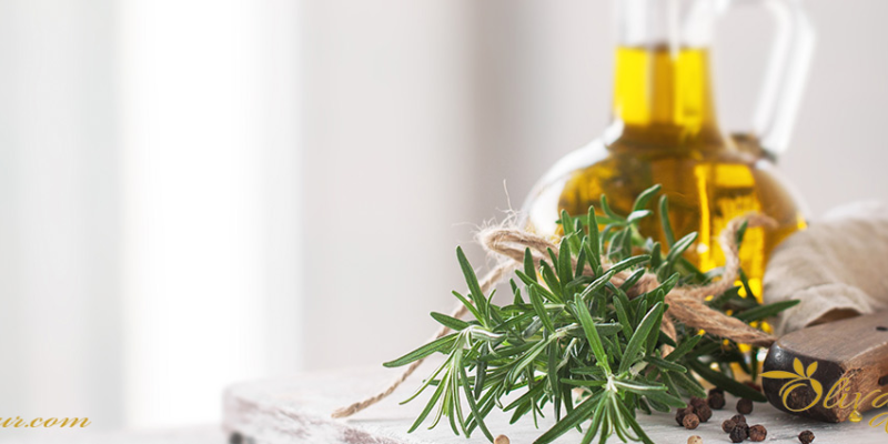 Aceite de oliva hojiblanca: Propiedades y características