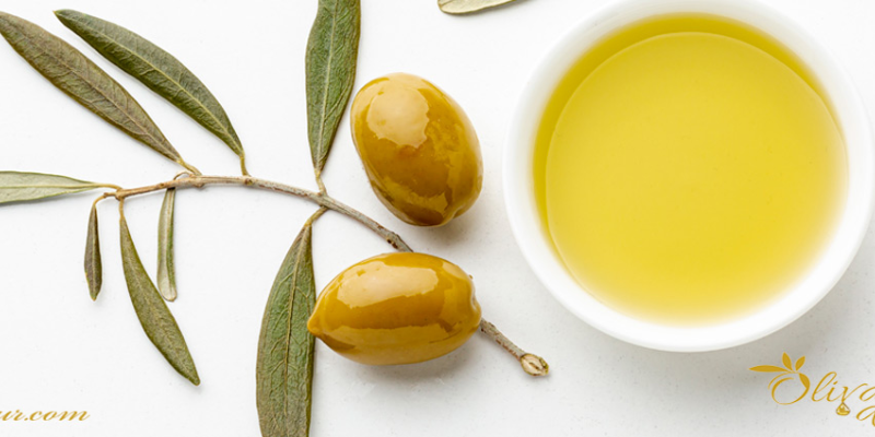Aceite de Oliva Manzanilla: Características y propiedades