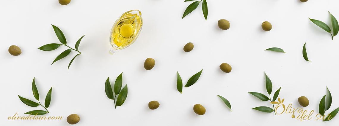 Variedad planta de Olivo Cornicabra