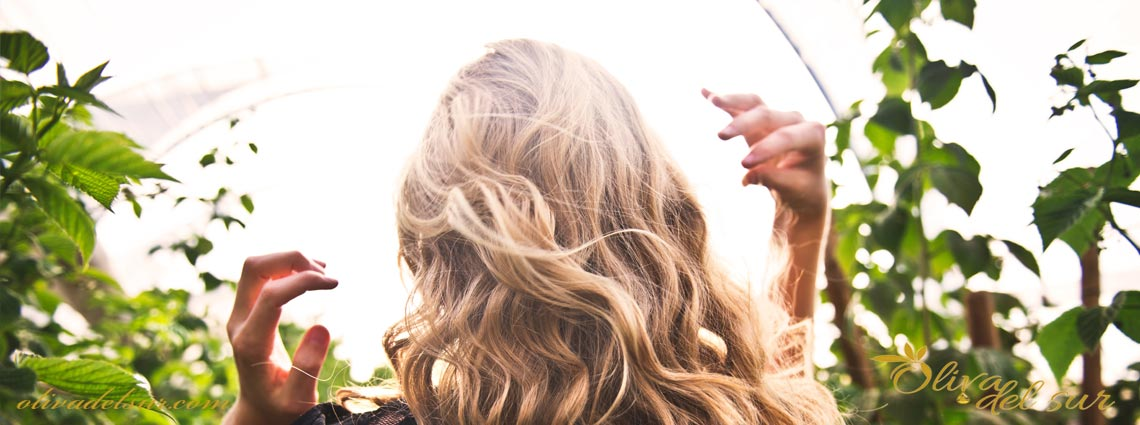Beneficios del aceite de oliva para tu pelo 